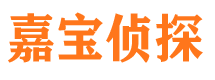 灯塔寻人公司